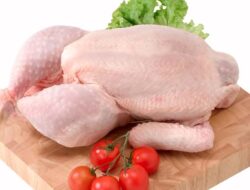 Ingin Jual Ayam Potong Online? Begini 3 Tips Menjaga Kualitasnya Agar Tetap Baik